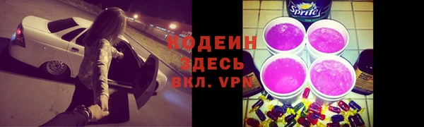 прущие грибы Арсеньев