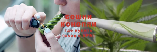 прущие грибы Арсеньев