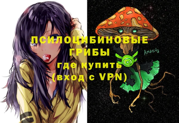 трава Армянск