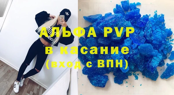 прущие грибы Арсеньев