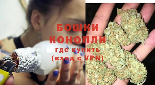прущие грибы Арсеньев