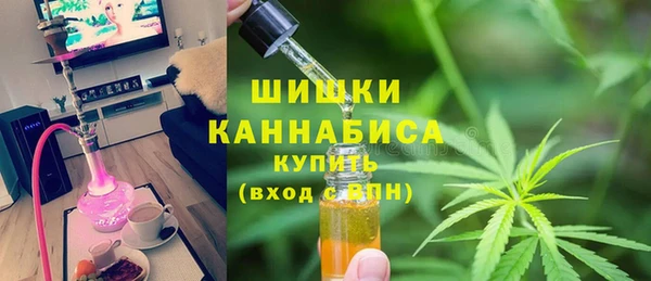 прущие грибы Арсеньев