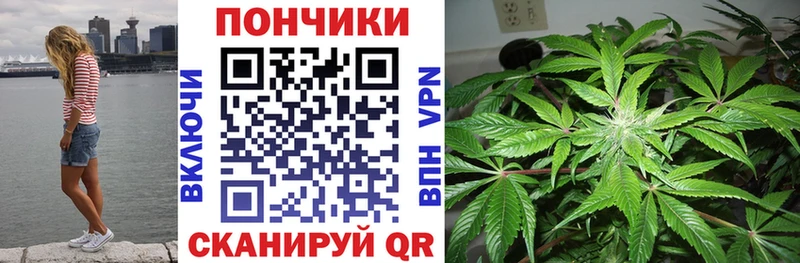 Бошки марихуана тримм  блэк спрут сайт  Красный Кут 